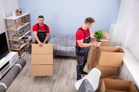Movers And Packers In Al Ruwais | Newsletter Professional Sh Movers Packers