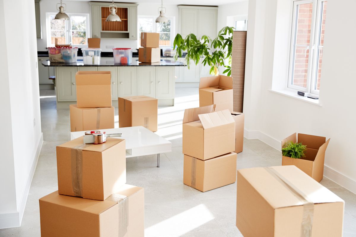 Movers and Packers Al Barsha Dubai - ProfessionalShMovers
