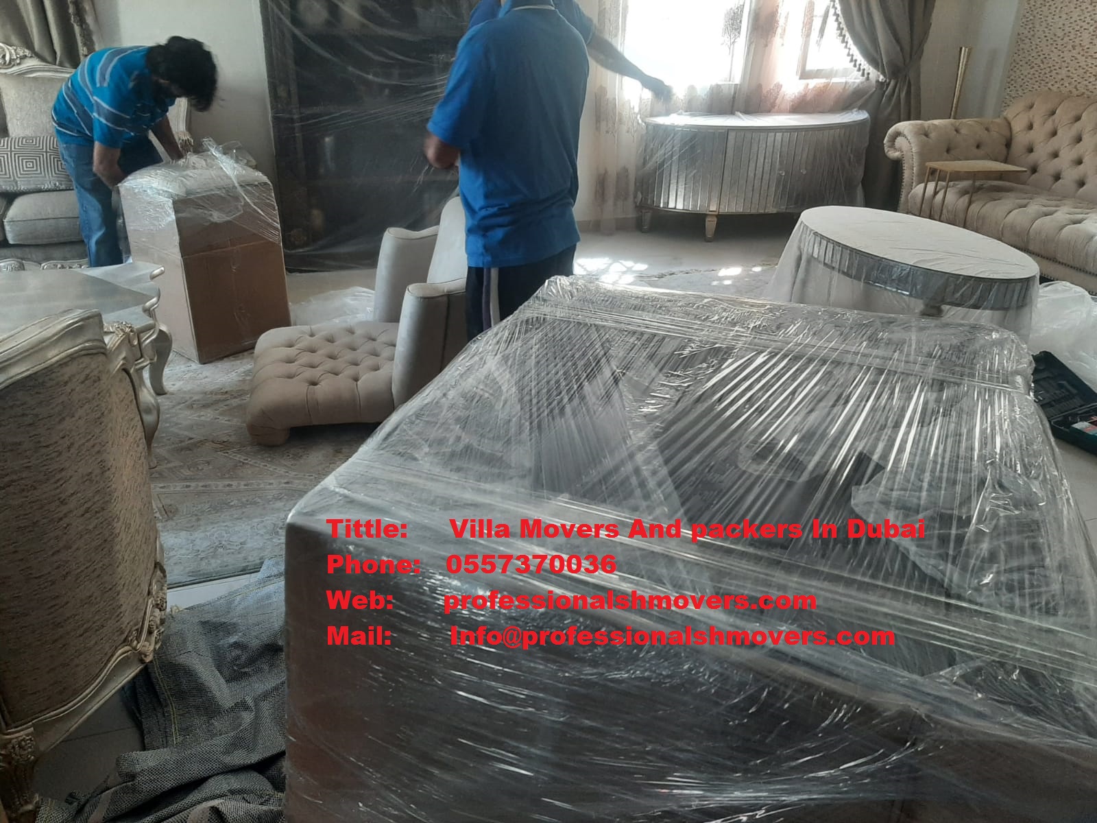Moving company in Dubai | Professional SH Movers | House Shifting Dubai | Villa Movers And packers in Dubai - Professionalshmovers
